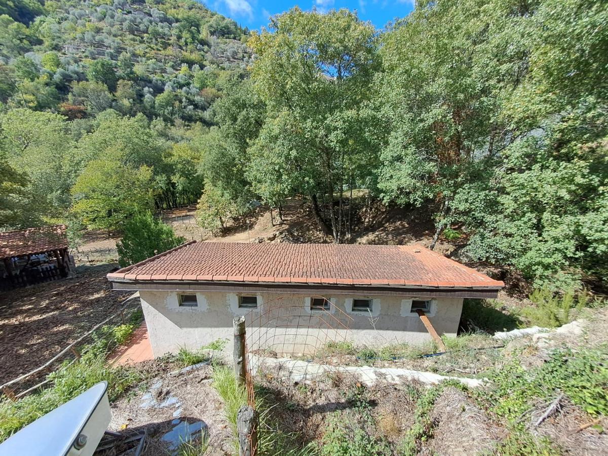 Agricamping Ponteraggio N.1 Hotel Dolceacqua Bagian luar foto