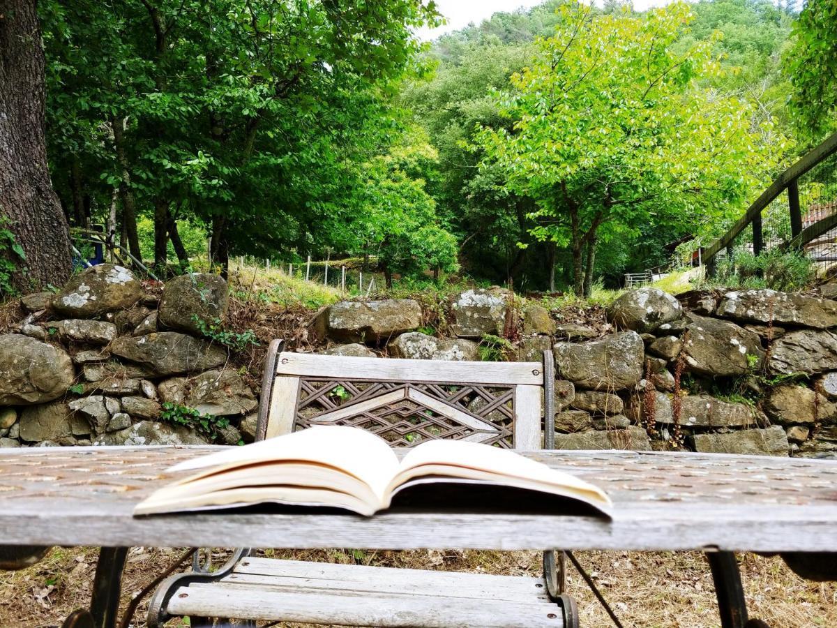 Agricamping Ponteraggio N.1 Hotel Dolceacqua Bagian luar foto