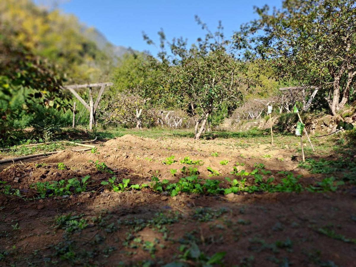 Agricamping Ponteraggio N.1 Hotel Dolceacqua Bagian luar foto