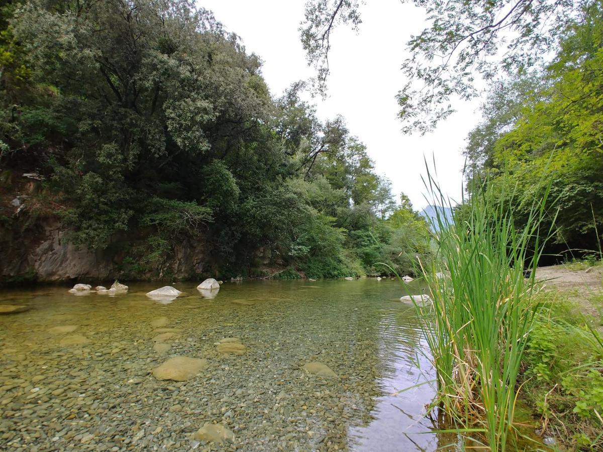 Agricamping Ponteraggio N.1 Hotel Dolceacqua Bagian luar foto