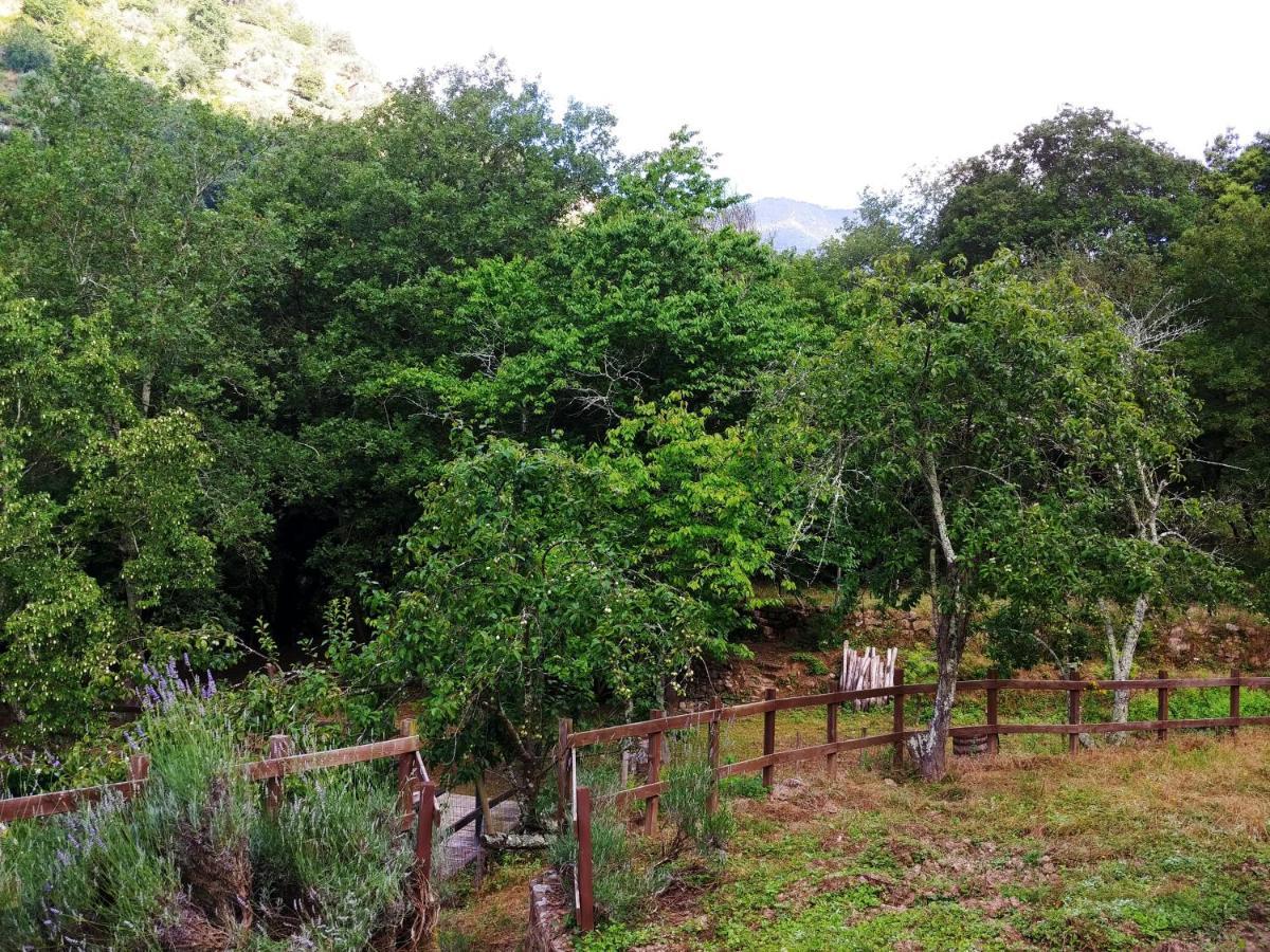 Agricamping Ponteraggio N.1 Hotel Dolceacqua Bagian luar foto