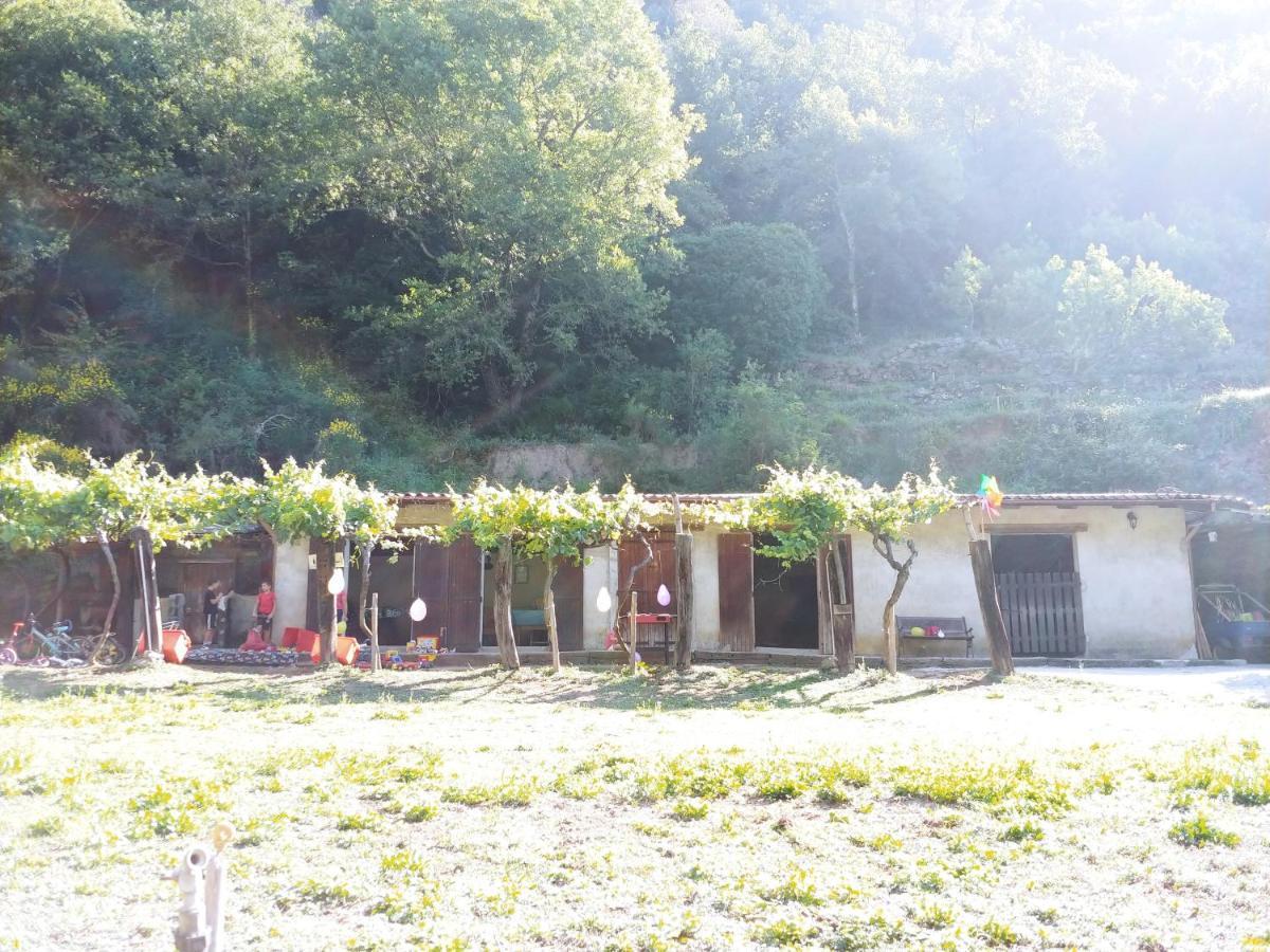 Agricamping Ponteraggio N.1 Hotel Dolceacqua Bagian luar foto