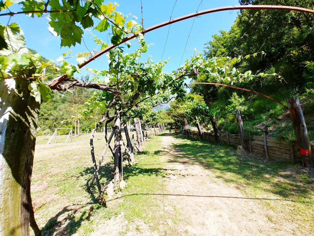 Agricamping Ponteraggio N.1 Hotel Dolceacqua Bagian luar foto