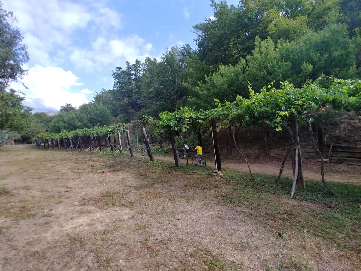 Agricamping Ponteraggio N.1 Hotel Dolceacqua Bagian luar foto