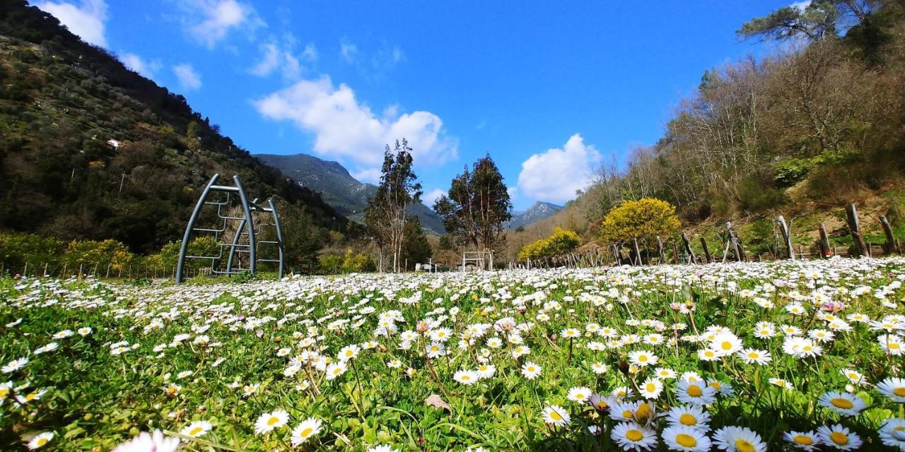 Agricamping Ponteraggio N.1 Hotel Dolceacqua Bagian luar foto