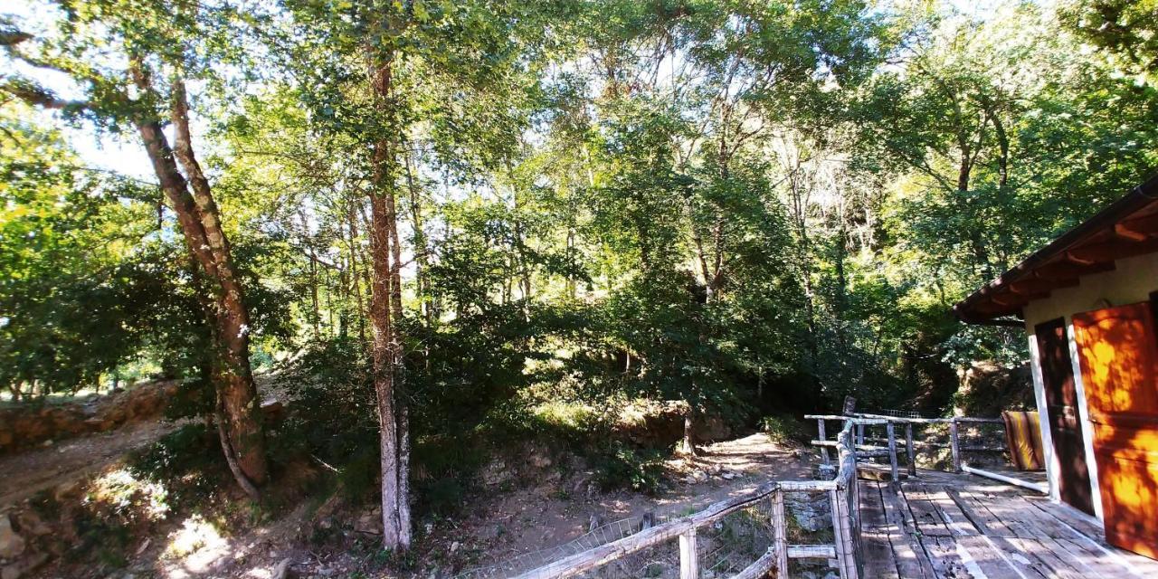 Agricamping Ponteraggio N.1 Hotel Dolceacqua Bagian luar foto