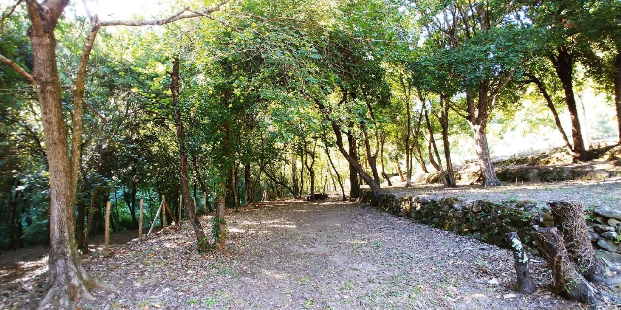 Agricamping Ponteraggio N.1 Hotel Dolceacqua Bagian luar foto