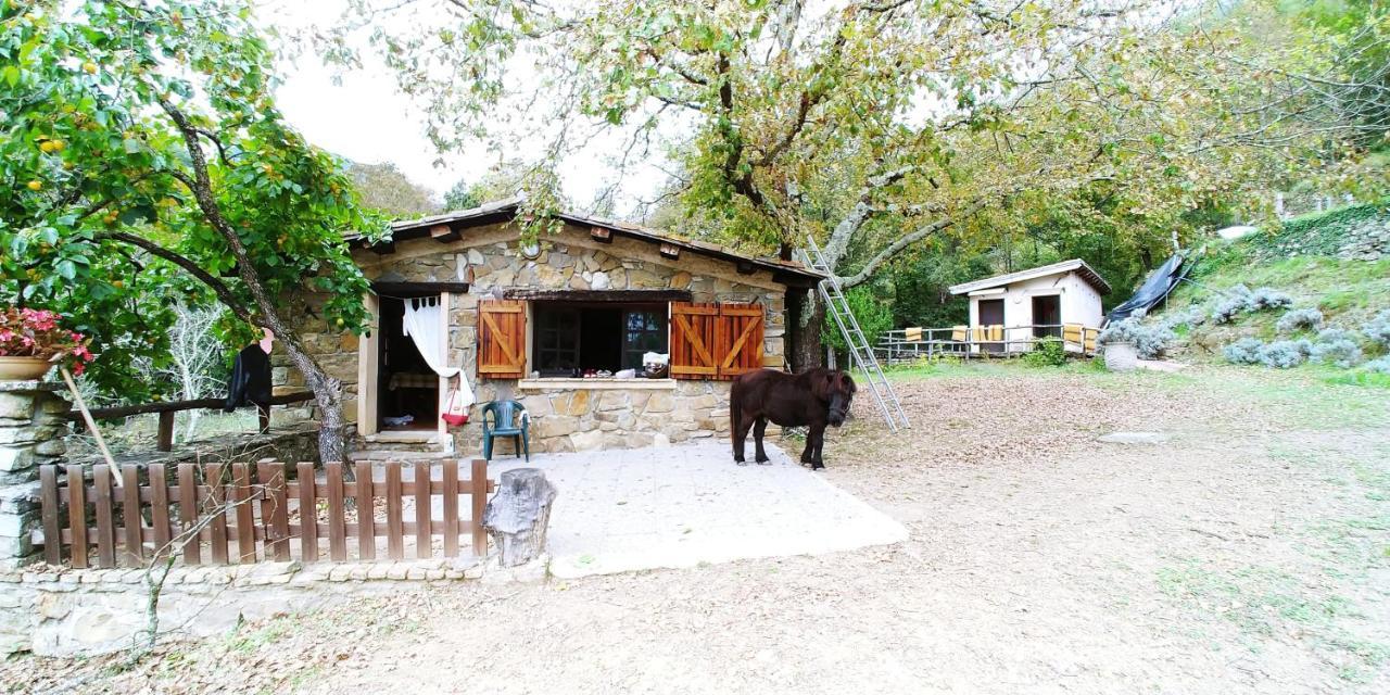 Agricamping Ponteraggio N.1 Hotel Dolceacqua Bagian luar foto