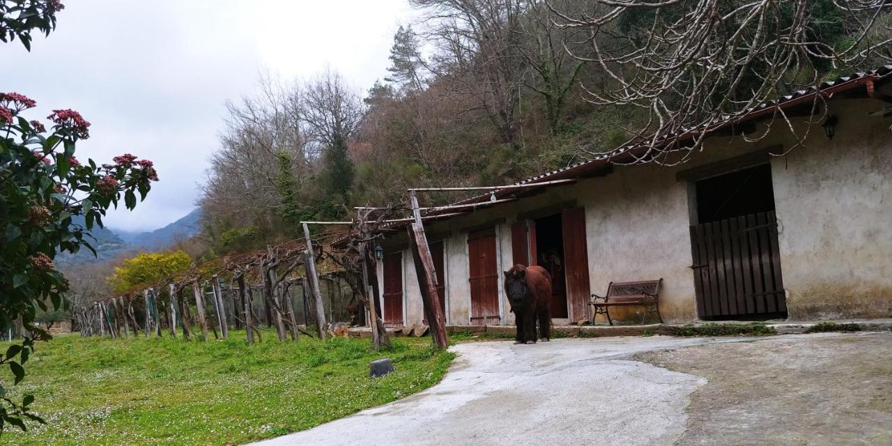 Agricamping Ponteraggio N.1 Hotel Dolceacqua Bagian luar foto
