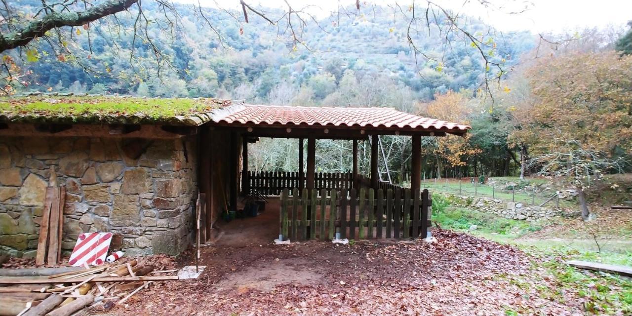 Agricamping Ponteraggio N.1 Hotel Dolceacqua Bagian luar foto