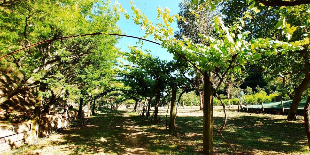 Agricamping Ponteraggio N.1 Hotel Dolceacqua Bagian luar foto