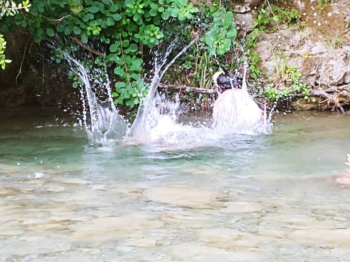 Agricamping Ponteraggio N.1 Hotel Dolceacqua Bagian luar foto