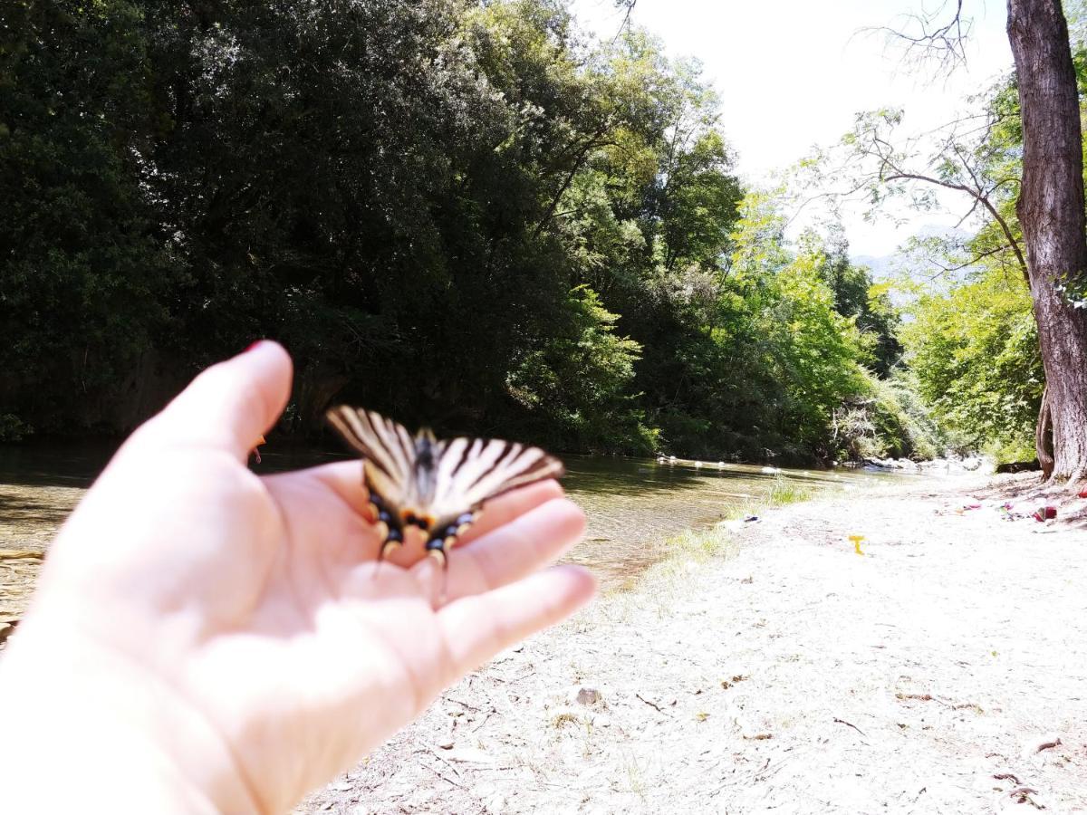 Agricamping Ponteraggio N.1 Hotel Dolceacqua Bagian luar foto