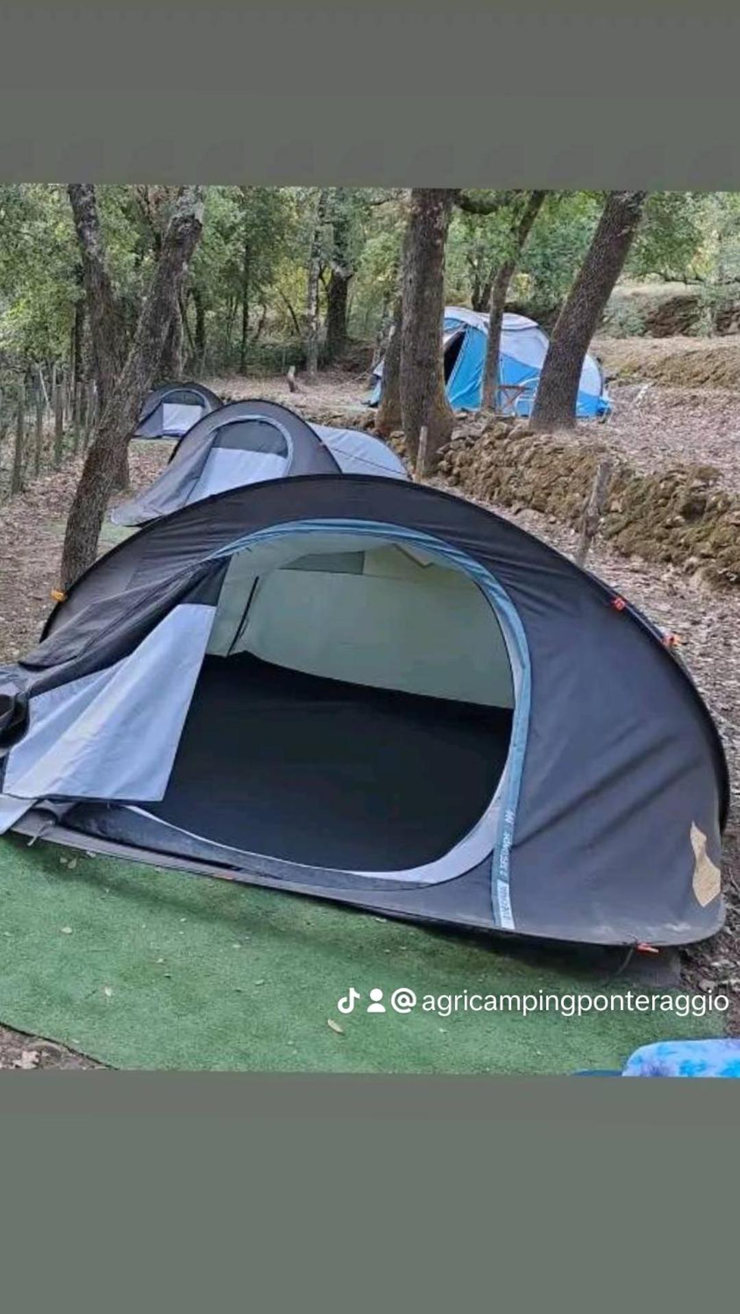 Agricamping Ponteraggio N.1 Hotel Dolceacqua Bagian luar foto
