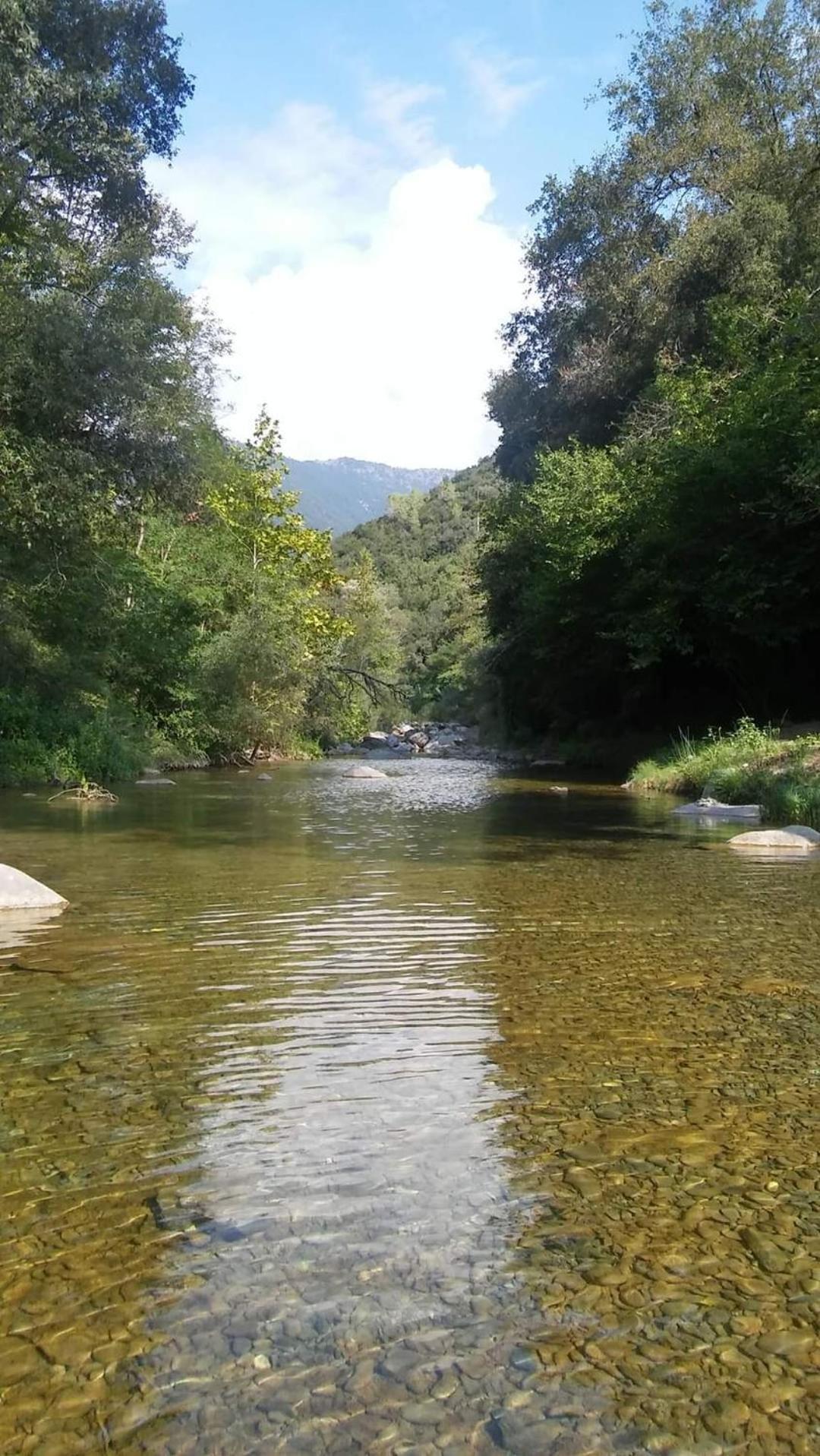 Agricamping Ponteraggio N.1 Hotel Dolceacqua Bagian luar foto