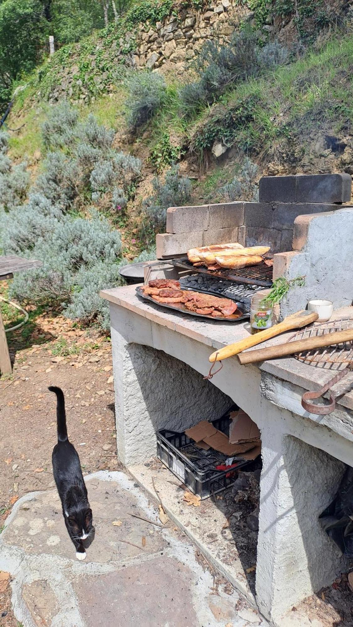 Agricamping Ponteraggio N.1 Hotel Dolceacqua Bagian luar foto